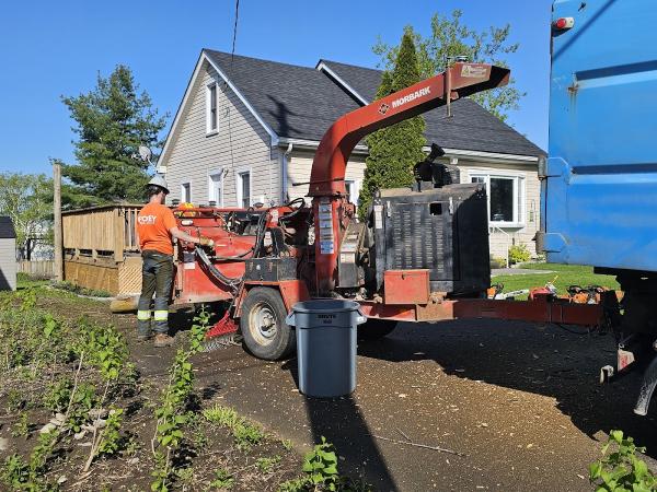 Foley Tree Service