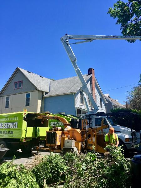 St Catharines Tree Service