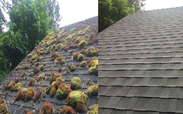 Starlight Home Services Ltd