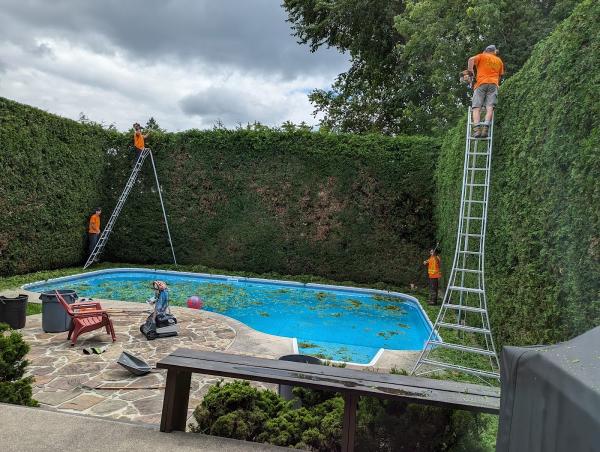 Van Dyke's Tree Care Ltd