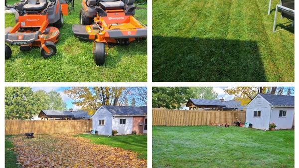 BZ Lawn Care & Property Maintenance
