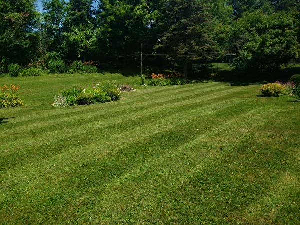 BZ Lawn Care & Property Maintenance