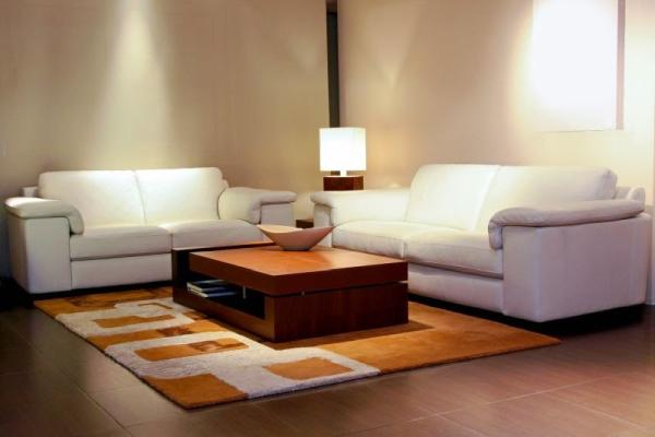 Nettoyeur De Tapis P.R.