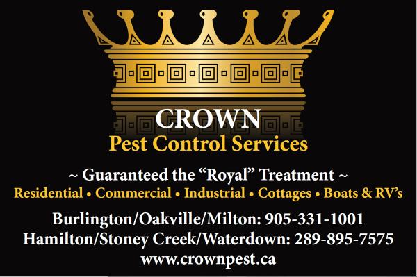 Crown Pest