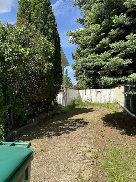 Superpro Tree Experts