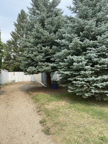 Superpro Tree Experts