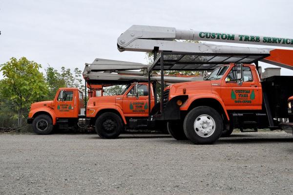 Chatham's Custom Tree Removal & Trimming Service Chatham-Kent