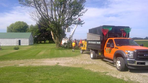 Chatham's Custom Tree Removal & Trimming Service Chatham-Kent