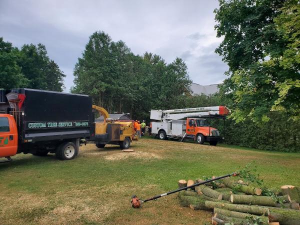 Chatham's Custom Tree Removal & Trimming Service Chatham-Kent