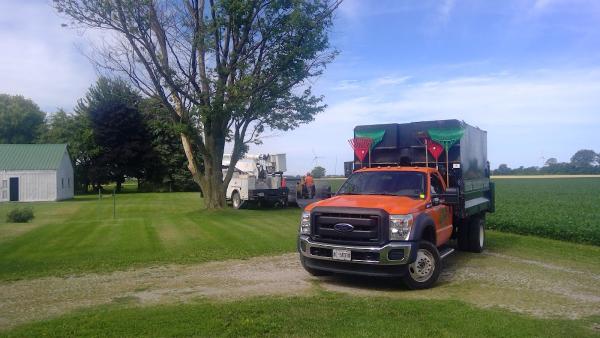 Chatham's Custom Tree Removal & Trimming Service Chatham-Kent