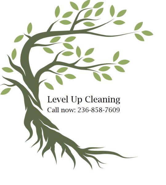 Level Up Cleaning