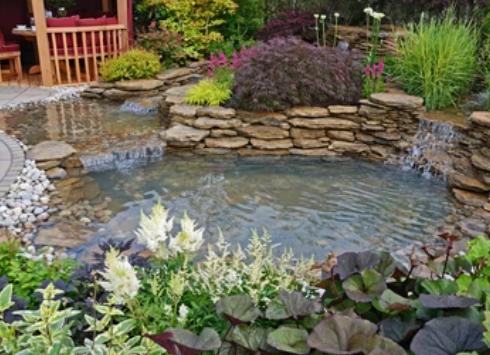 Your Eden Landscaping and Waterscaping