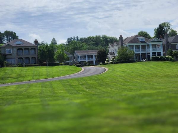 Green Care and Maintenance