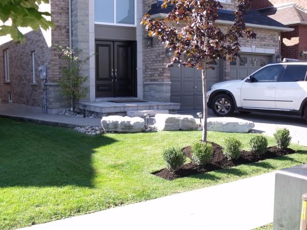 BAF Landscaping & Contracting