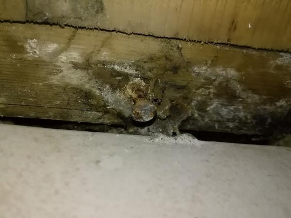 Extrême Extermination