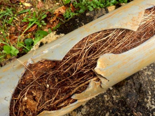 Bruce's Sewer Service