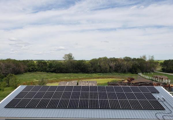 Positive Electric Ltd.