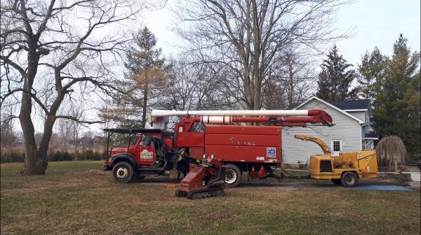 Friesen Tree Services