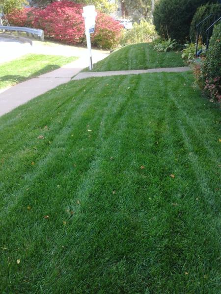 Terra Nova Landscaping