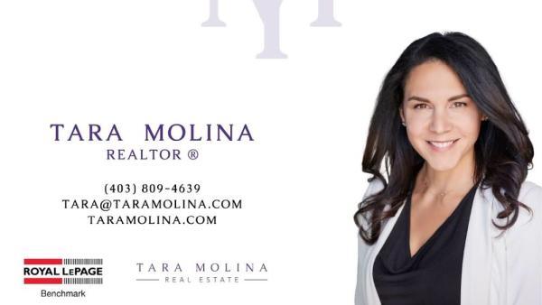 Tara Molina Real Estate Group