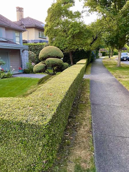 Blossom Landscaping