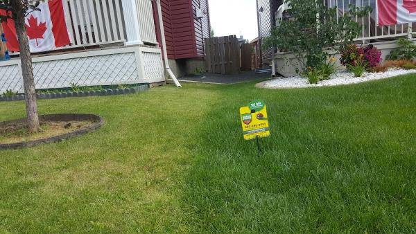 Green Guard Lawn Fertilization & Weed Control