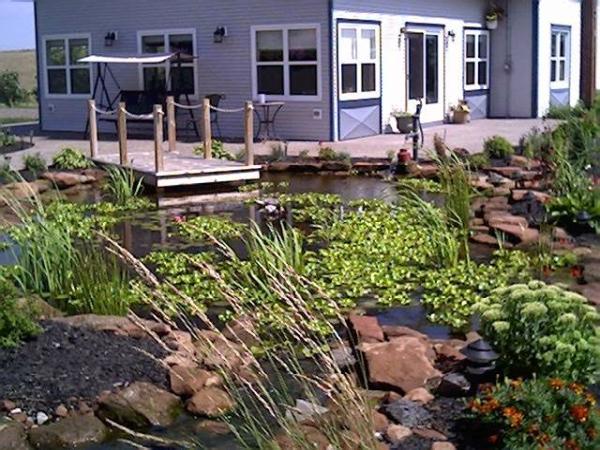 Creative Gardening and Landscapes