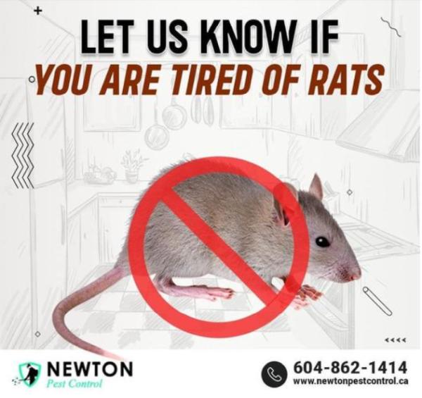 Newton Pest Control