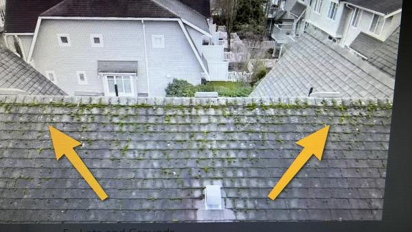 Precise Building Inspections