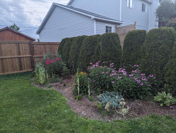 Yard Help