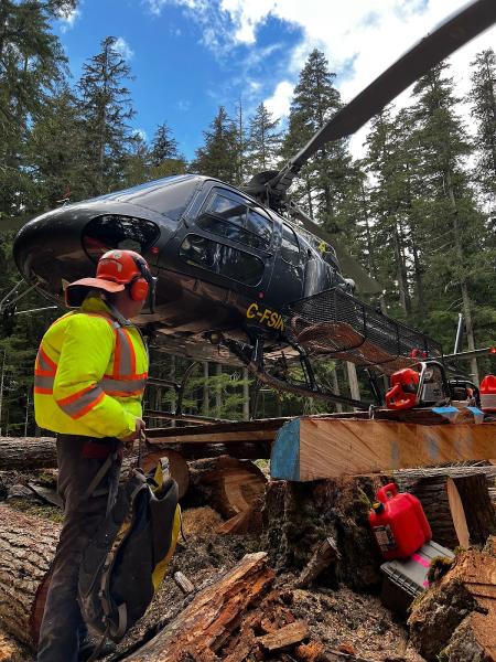 Integrated Operations Group