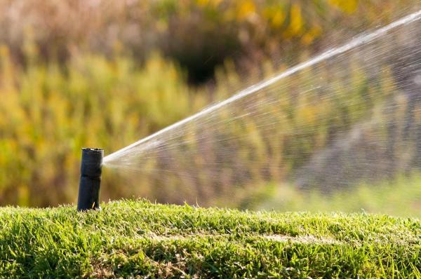 Landscaping Experts Abbotsford