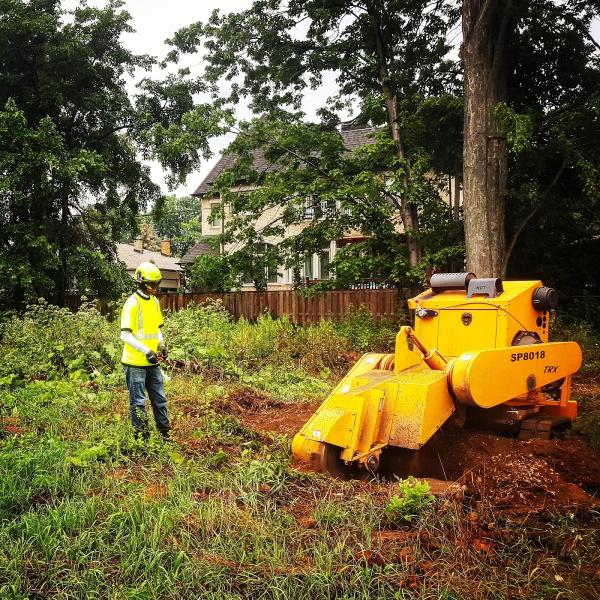 Alpine Arborist Professional Tree Care