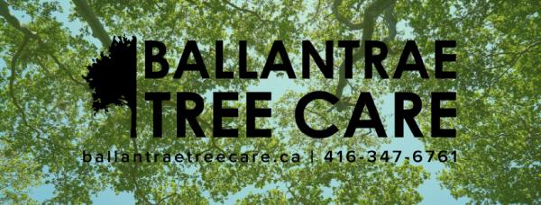 Ballantrae Tree Care