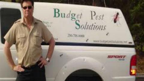 Budget Pest Solutions