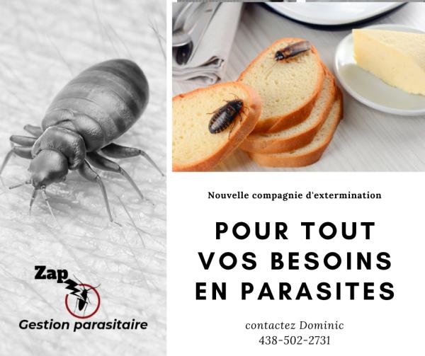 Zap Gestion Parasitaire