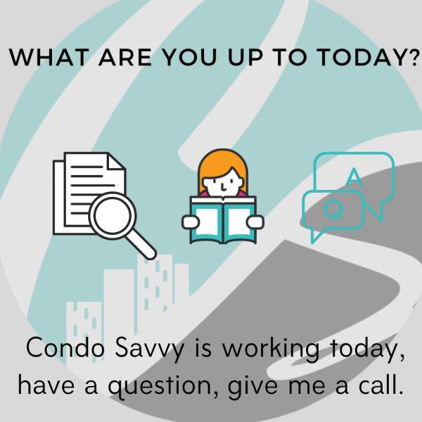 Condo Savvy Inc.