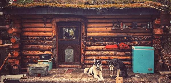 Canada's Log & Wood Home Store