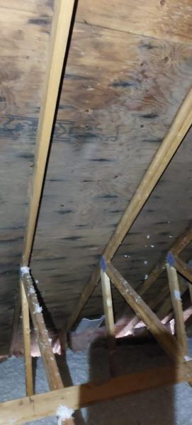 Hazforce Environmental Ltd