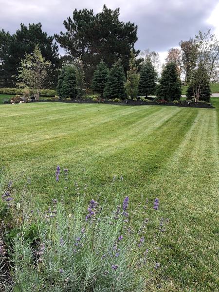 Georgian Lawn & Property Care Inc.