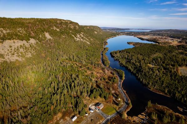 Sai Westcott l Newfoundland Realtor l Royal Lepage Vision Realty