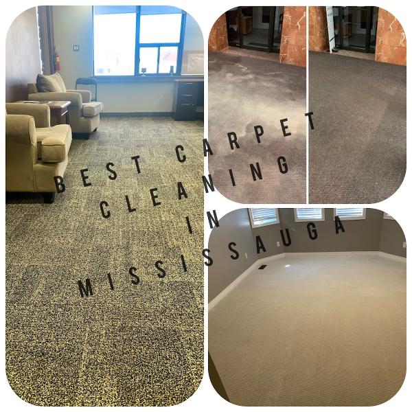 Romy Tile and Carpet Cleaning Services