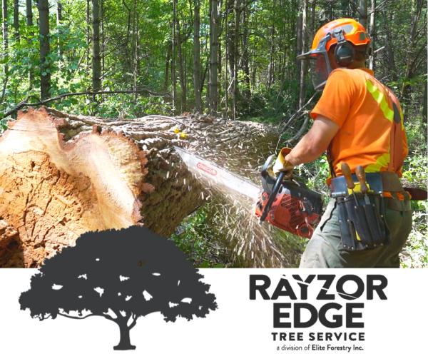 Rayzor Edge Tree Service