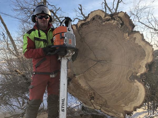 Sharpe Tree Service