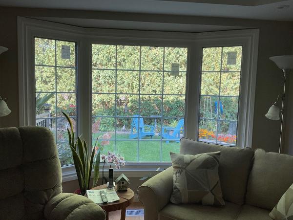 Dayside Windows and Doors