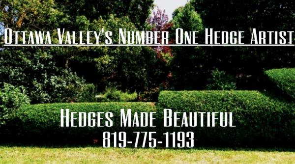 Hedges Made Beautiful