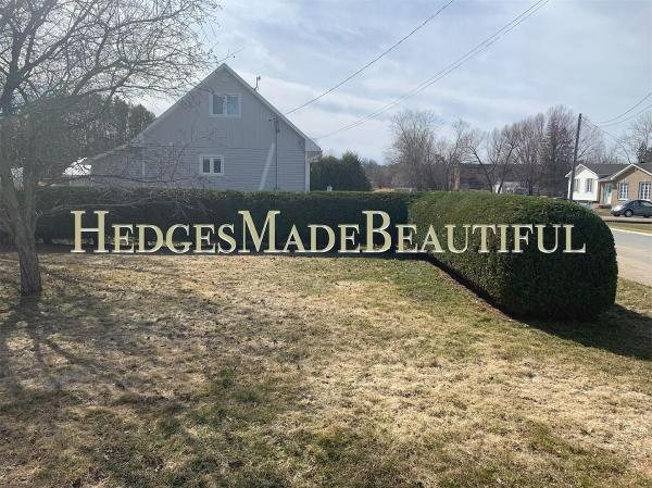 Hedges Made Beautiful