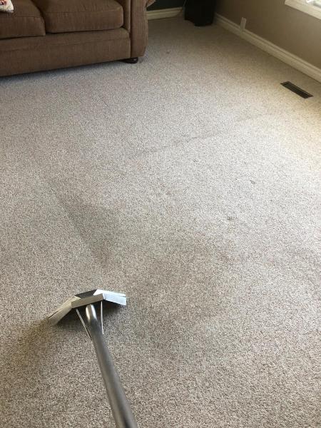 Alberta Carpet Cleaning