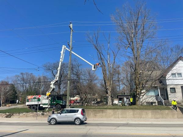 North Simcoe Tree Service