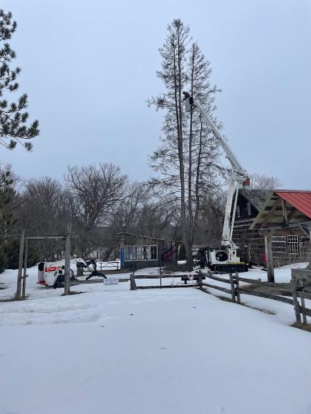 North Simcoe Tree Service